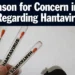 hantavirustubes