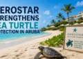 iberostarturtle