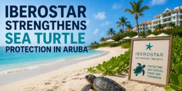 iberostarturtle