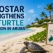 iberostarturtle