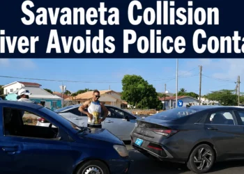 savanetacollisiondriver