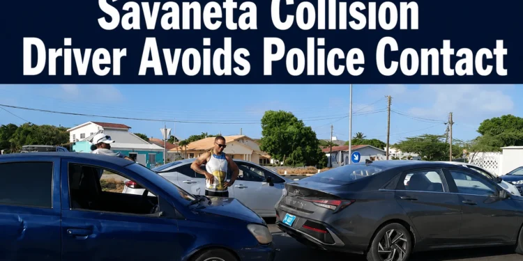 savanetacollisiondriver