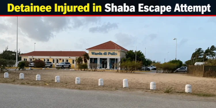 Detainee Injured in Shaba Escape Attempt shaba