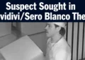 sividiviseroblancotheft