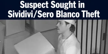 sividiviseroblancotheft