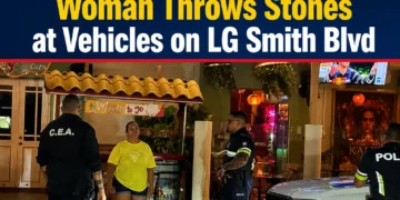 Woman Throws Stones at Vehicles on LG Smith Blvd womanstones