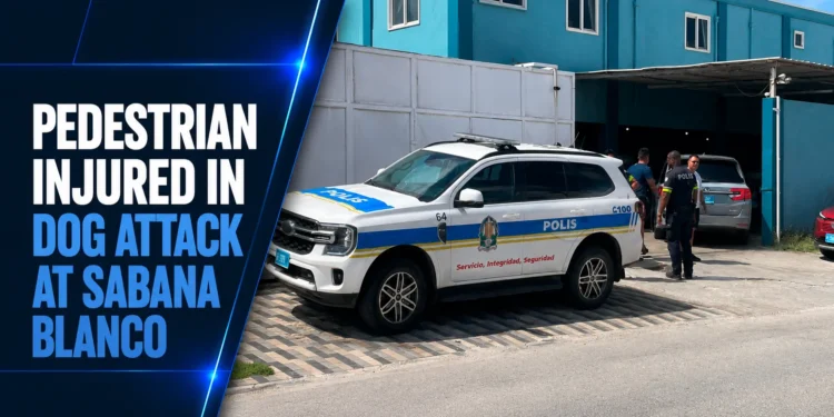 Pedestrian Injured In Dog Attack At Sabana Blanco