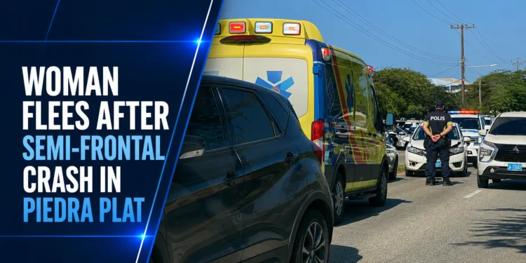 Woman Flees After Semi-Frontal Crash In Piedra Plat