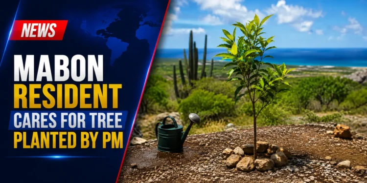 Mabon Resident Cares for Tree Planted by PM Mabon Resident Cares for Tree Planted by PM