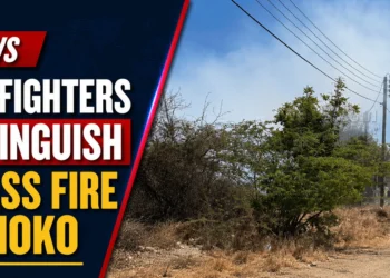 Firefighters Extinguish Grass Fire in Moko