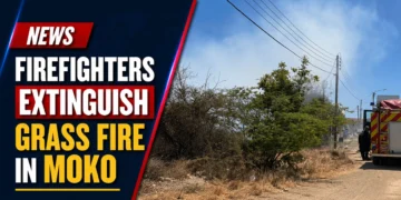 Firefighters Extinguish Grass Fire in Moko