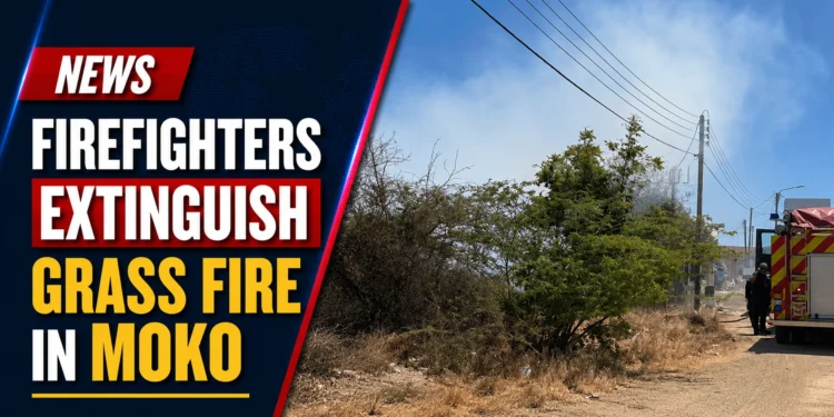 Firefighters Extinguish Grass Fire in Moko