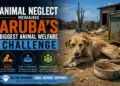 animal neglect aruba challenge