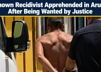 apprehended