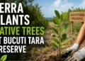 bucutitara