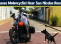 Dog Chases Motorcyclist Near San Nicolas Roundabout dogchases