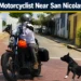 Dog Chases Motorcyclist Near San Nicolas Roundabout dogchases