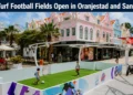 mini turf football