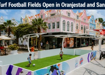 mini turf football