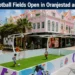 mini turf football