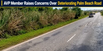 palm beach road
