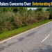 palm beach road