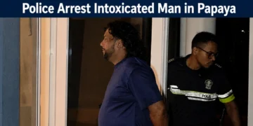 Police Arrest Intoxicated Man in Papaya papaya