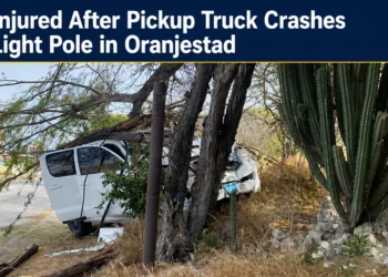 pickup truck crashes