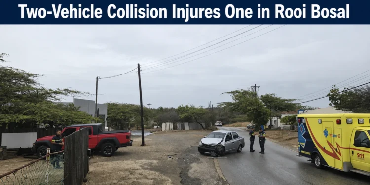 Two-Vehicle Collision Injures One in Rooi Bosal rooibosal