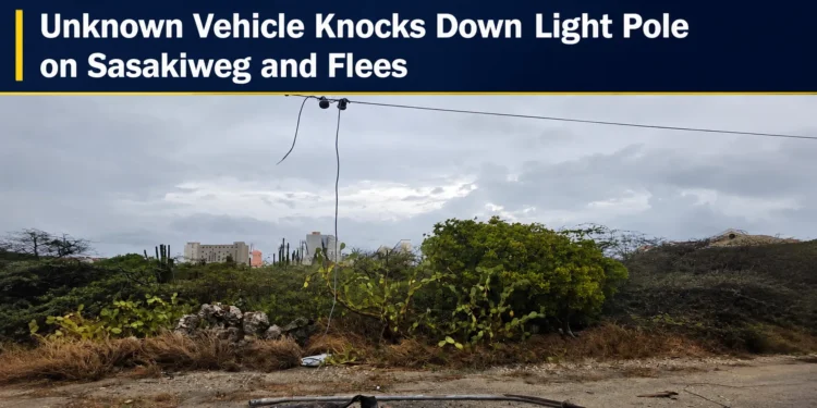 Unknown Vehicle Knocks Down Light Pole on Sasakiweg and Flees sasakiweg