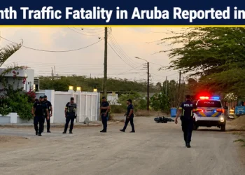 trafficfatality