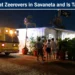woman faints zeerovers savaneta