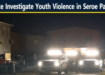 youthviolence