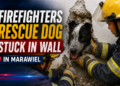 Firefighters Rescue Dog Stuck in Wall in Marawiel