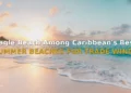 Eagle Beach Among Caribbean's Best Summer Beaches for Trade Winds