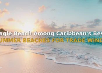 Eagle Beach Among Caribbean's Best Summer Beaches for Trade Winds