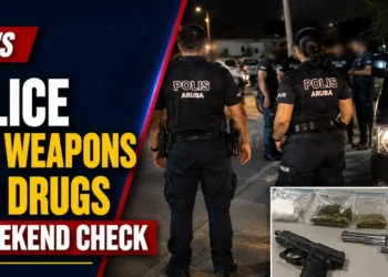 Police Find Weapons and Drugs in Weekend Check