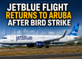 JetBlue Flight Returns to Aruba After Bird Strike