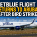 JetBlue Flight Returns to Aruba After Bird Strike