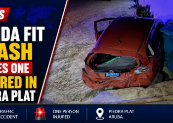 Honda Fit Crash Leaves One Injured in Piedra Plat