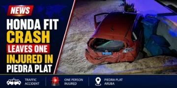 Honda Fit Crash Leaves One Injured in Piedra Plat