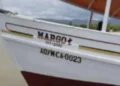 news 3095921903234156645