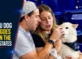 Aruba Cunucu Dog Jonah Goes Viral in the United States Aruba Cunucu Dog Jonah Goes Viral in the United States