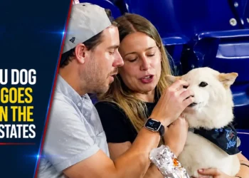 Aruba Cunucu Dog Jonah Goes Viral in the United States