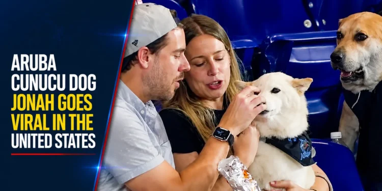 Aruba Cunucu Dog Jonah Goes Viral in the United States
