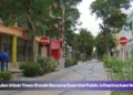 aruba urban trees should become essential public infrastructure now
