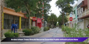 aruba urban trees should become essential public infrastructure now