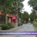 Aruba Urban Trees Should Become Essential Public Infrastructure Now aruba urban trees should become essential public infrastructure now