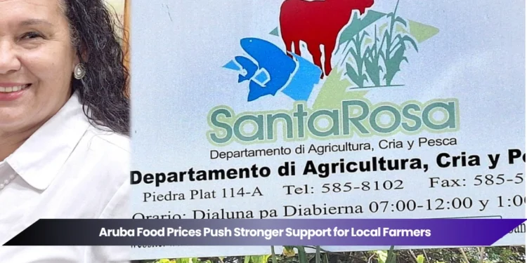 Aruba Food Prices Push Stronger Support for Local Farmers aruba youth violence sparks urgent call for national action