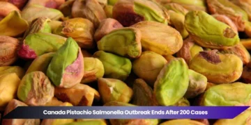 Canada Pistachio Salmonella Outbreak Ends After 200 Cases canada pistachio salmonella outbreak ends after 200 cases